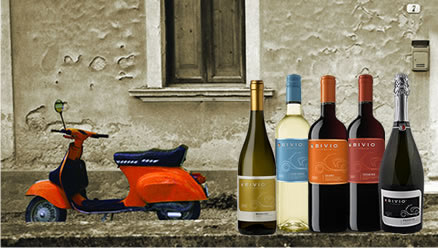 Lineup of wine bottles with a window and orange scooter in the backdrop